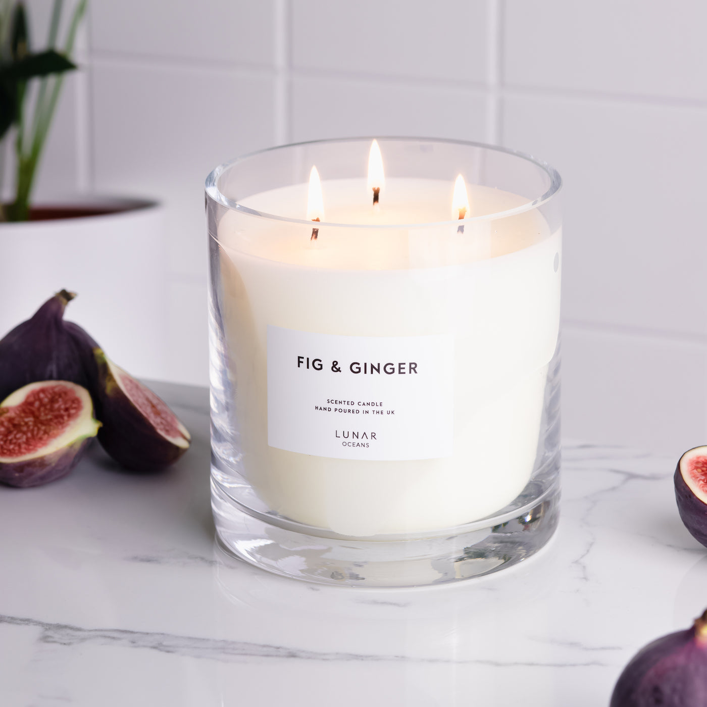 Fig & Ginger Scented Candle, 3 Wick, 600g
