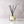Fig & Ginger Diffuser, 200ml