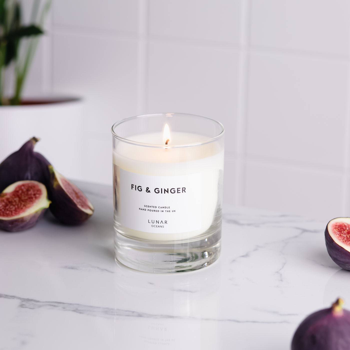 Fig & Ginger Candle
